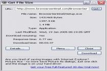 Captura Get File Size