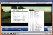 Captura Winamp TV