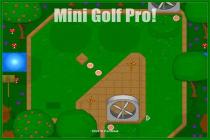 Captura Mini Golf Pro