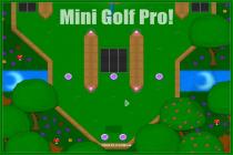 Captura Mini Golf Pro