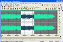 Captura Fx Audio Editor Professional