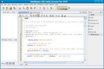 Captura NetBeans IDE