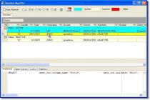 Captura DreamCoder for Oracle