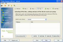 Captura Web Password Wizard