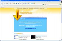 Captura MYweb4net