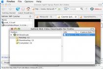 Captura Sothink Web Video Downloader