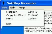 Captura SoftKey Revealer