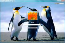 Captura Thoosje Windows 7 Logon Screen Editor