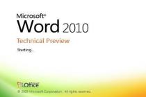 Captura Microsoft Office Professional