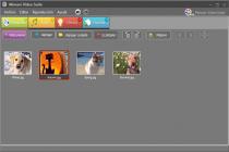 Captura Movavi Video Suite
