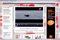 Captura Online TV Toolbar Firefox