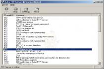 Captura Baby FTP Server