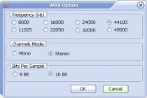 Captura Small WMA MP3 Converter