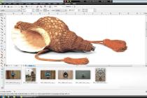 Captura CorelDRAW Graphics Suite