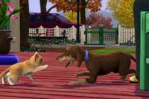 Captura Los Sims 3: ¡Vaya fauna!