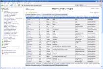 Captura Webmin para Windows