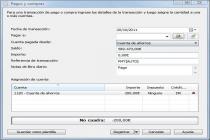 Captura Express Accounts Software Contable