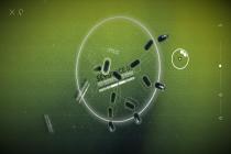 Captura Splice