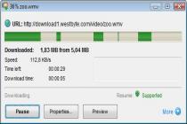 Captura Internet Download Accelerator Portable