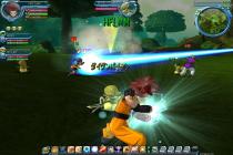 Captura Dragonball Online