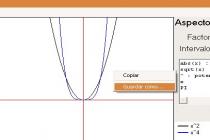 Captura Graph Expression