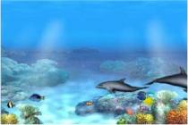 Captura Living 3D Dolphins ScreenSaver