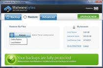 Captura Malwarebytes Secure Backup