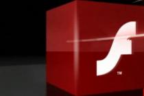 Captura Adobe Flash Player (Internet Explorer)
