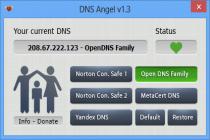 Captura DNS Angel