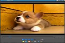 Captura FLV Player 4 Free