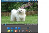Captura FLV Player 4 Free