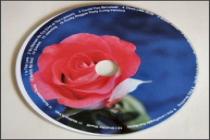 Captura CD/DVD Label Maker