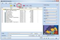 Captura ImTOO FLV Converter