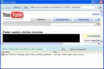 Captura Foxreal YouTube FLV Downloader