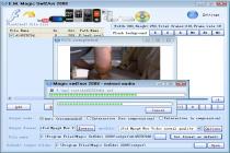 Captura Magic Swf2Avi