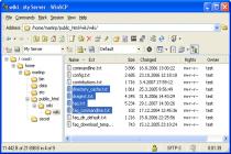 Captura WinSCP