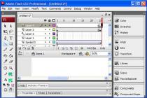 Captura Adobe Flash Professional