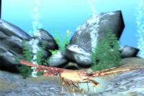 Captura Free 3D Marine Salvapantallas