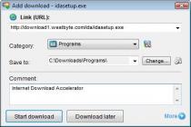Captura Internet Download Accelerator Pro