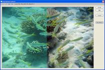 Captura Stoik Imagic Free Browser