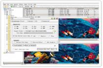 Captura Graphics Converter Professional