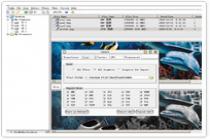 Captura Graphics Converter Professional