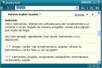 Captura Wikipedia Español Babylon-Pro Glossary