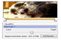 Captura Movavi Video Converter