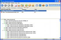 Captura Free Download Manager Pack Idiomas