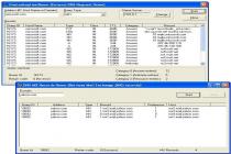 Captura DNS ActiveX Control