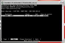 Captura TestDisk