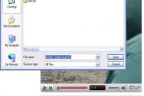 Captura Fast Video Download