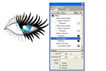 Captura Macromedia FreeHand MX