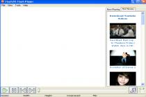 Captura Flash2X Flash Player